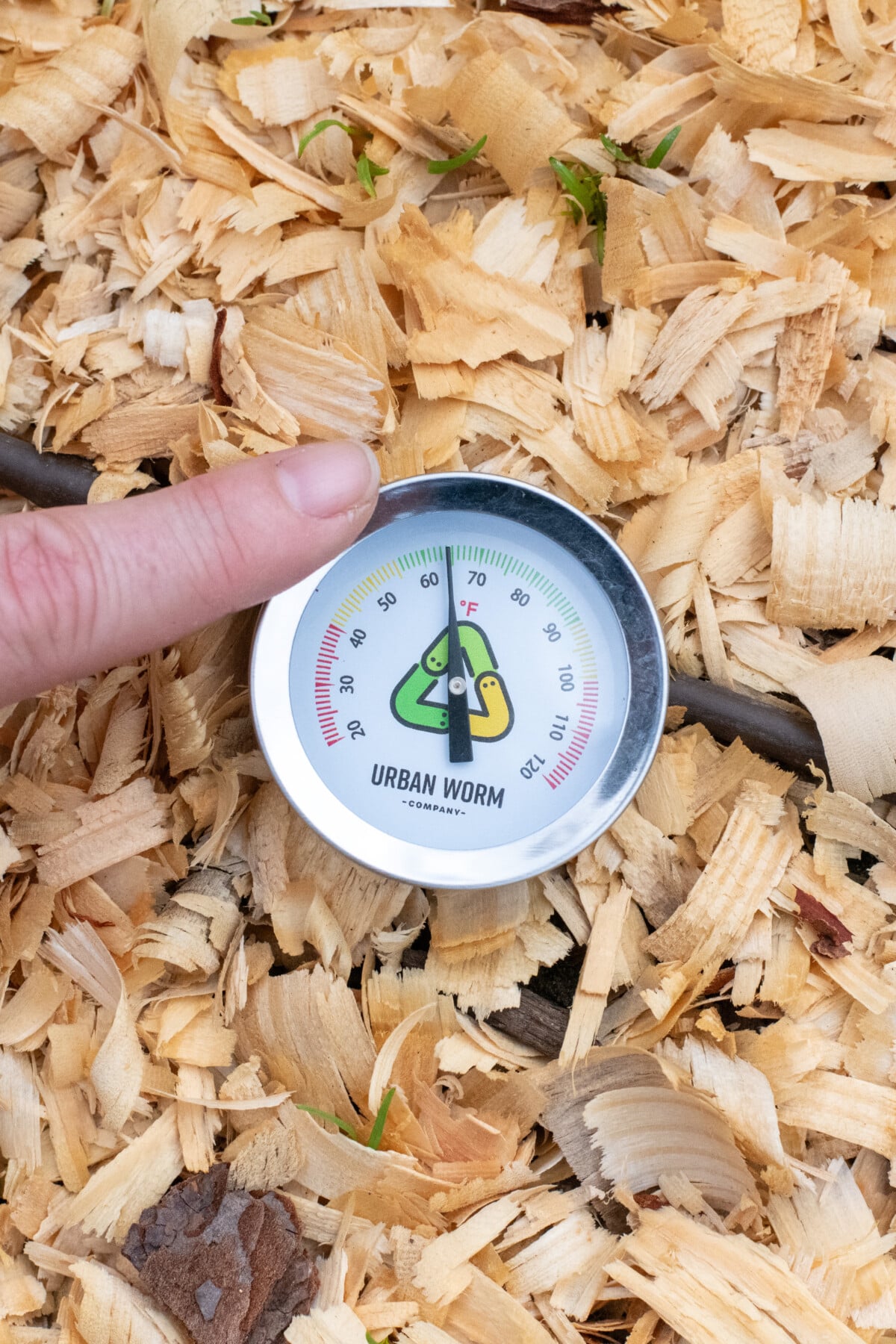 Finger pointing to a soil thermometer