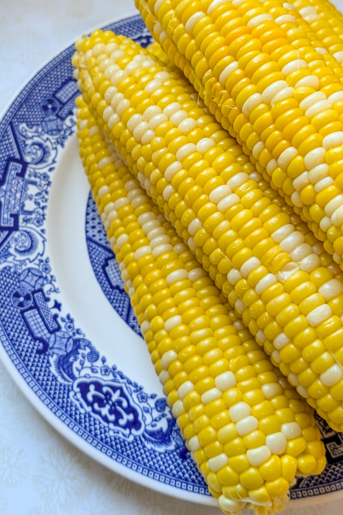 Sweet corn