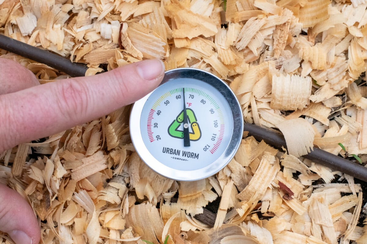 Finger pointing to soil thermometer that reads 65F.