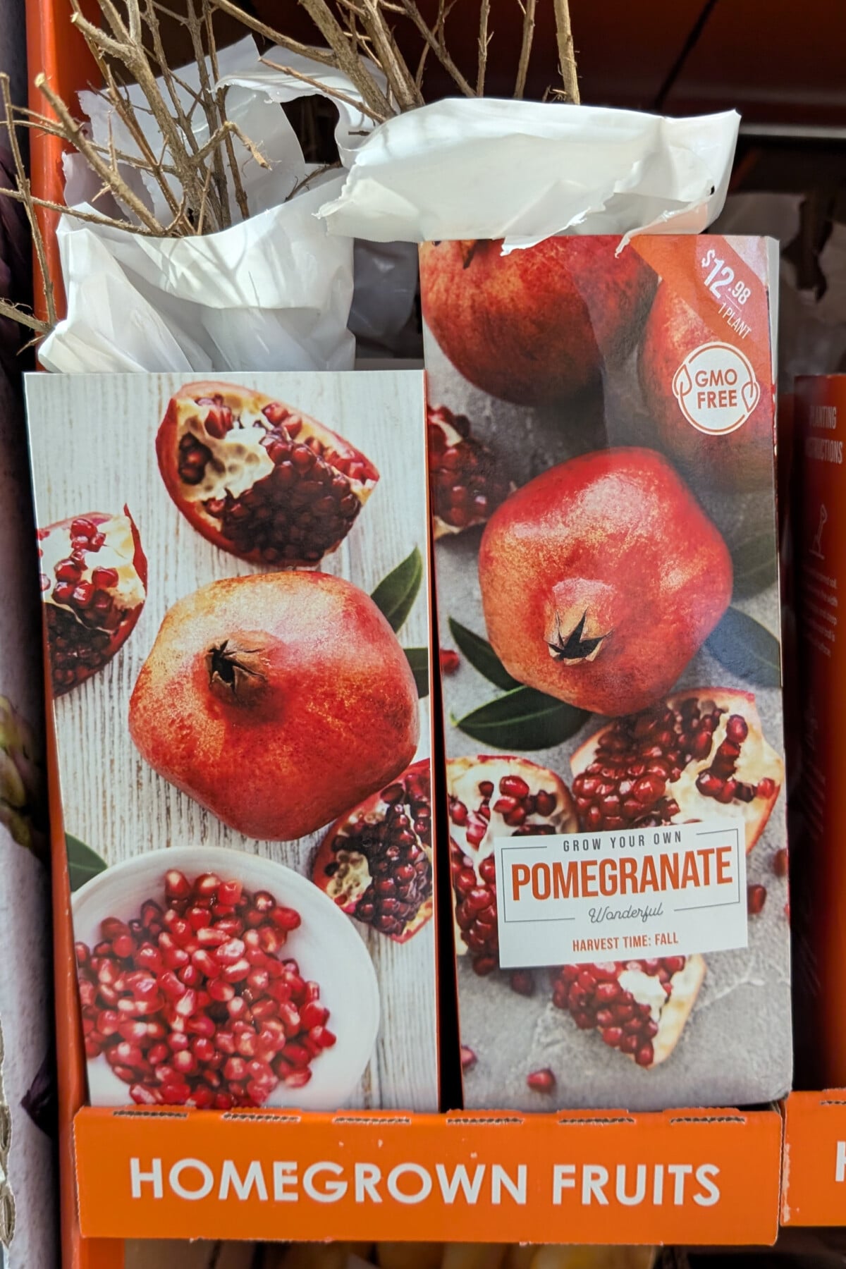 bare root pomegranates