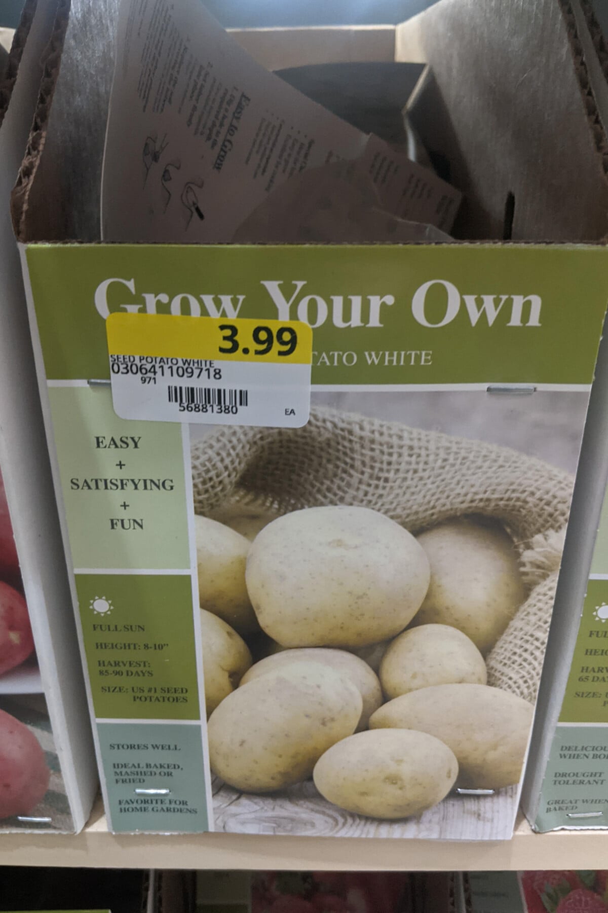 box of seed potatoes for sale