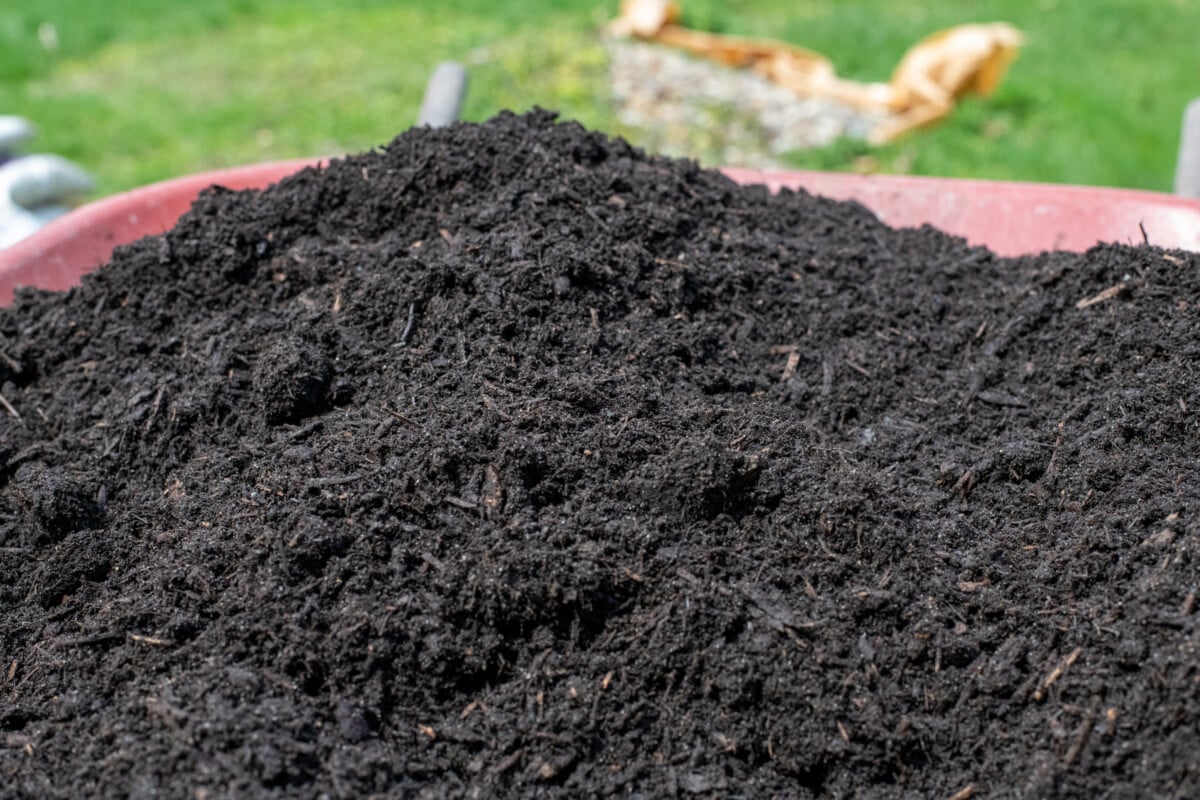 Soil mixed with compost