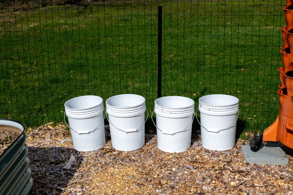 Buckets for growing potatoes