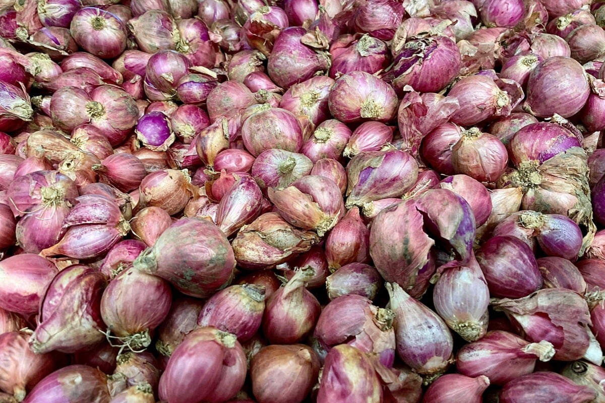 shallots