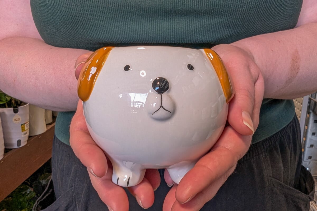 Oddly shaped planter