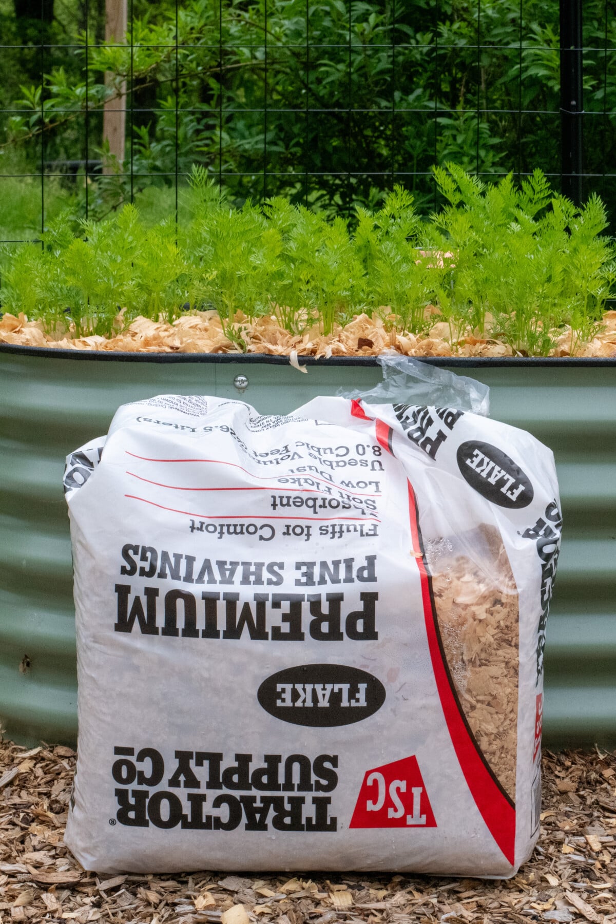 Bag of pine flakes from Tractor Supply