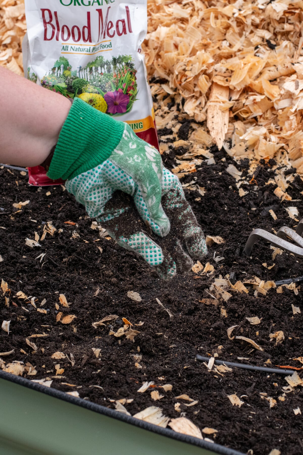 Woman's gloved hand sprinkling blood meal into soil