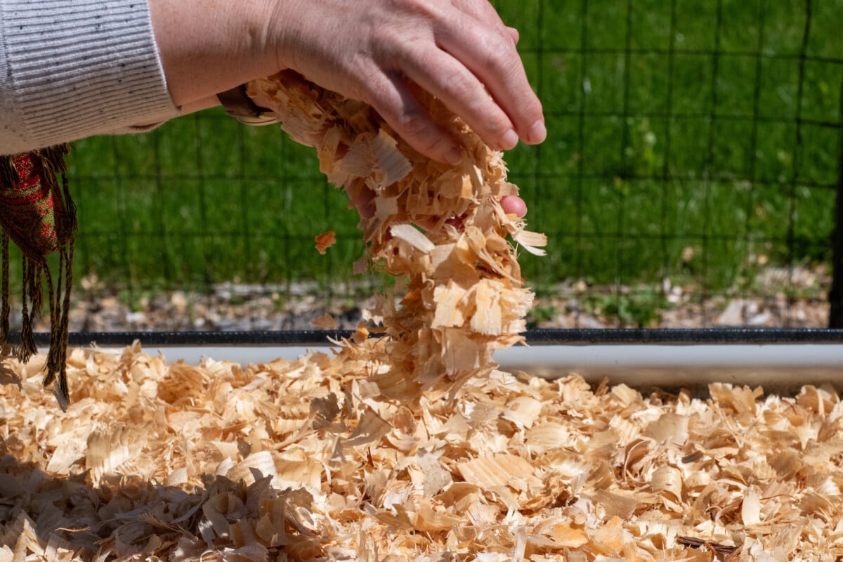Woman's hands putting mulch in a raised bed