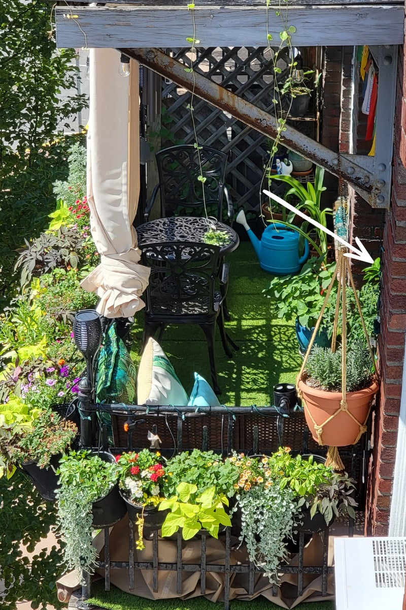 View of an apartment balcony with a lush garden