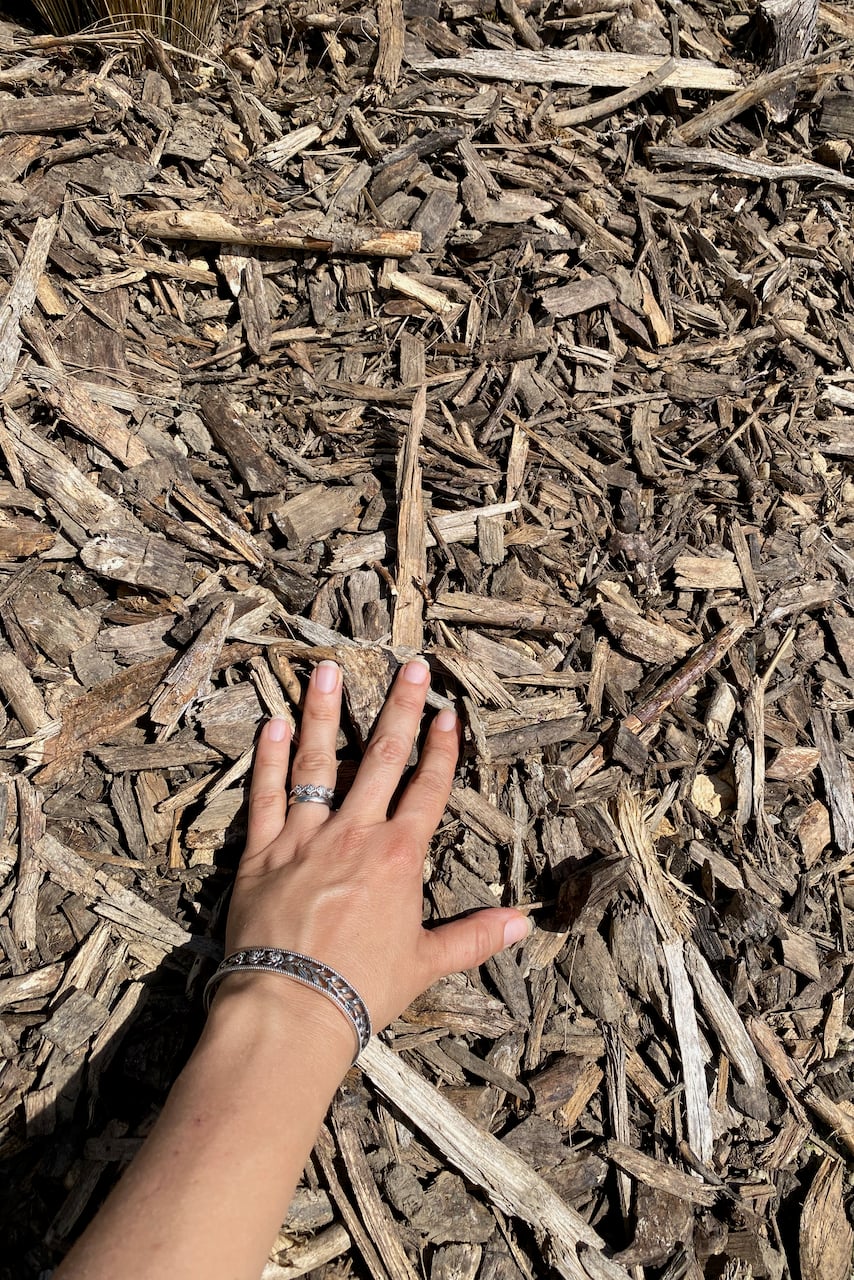 Wood chip mulch