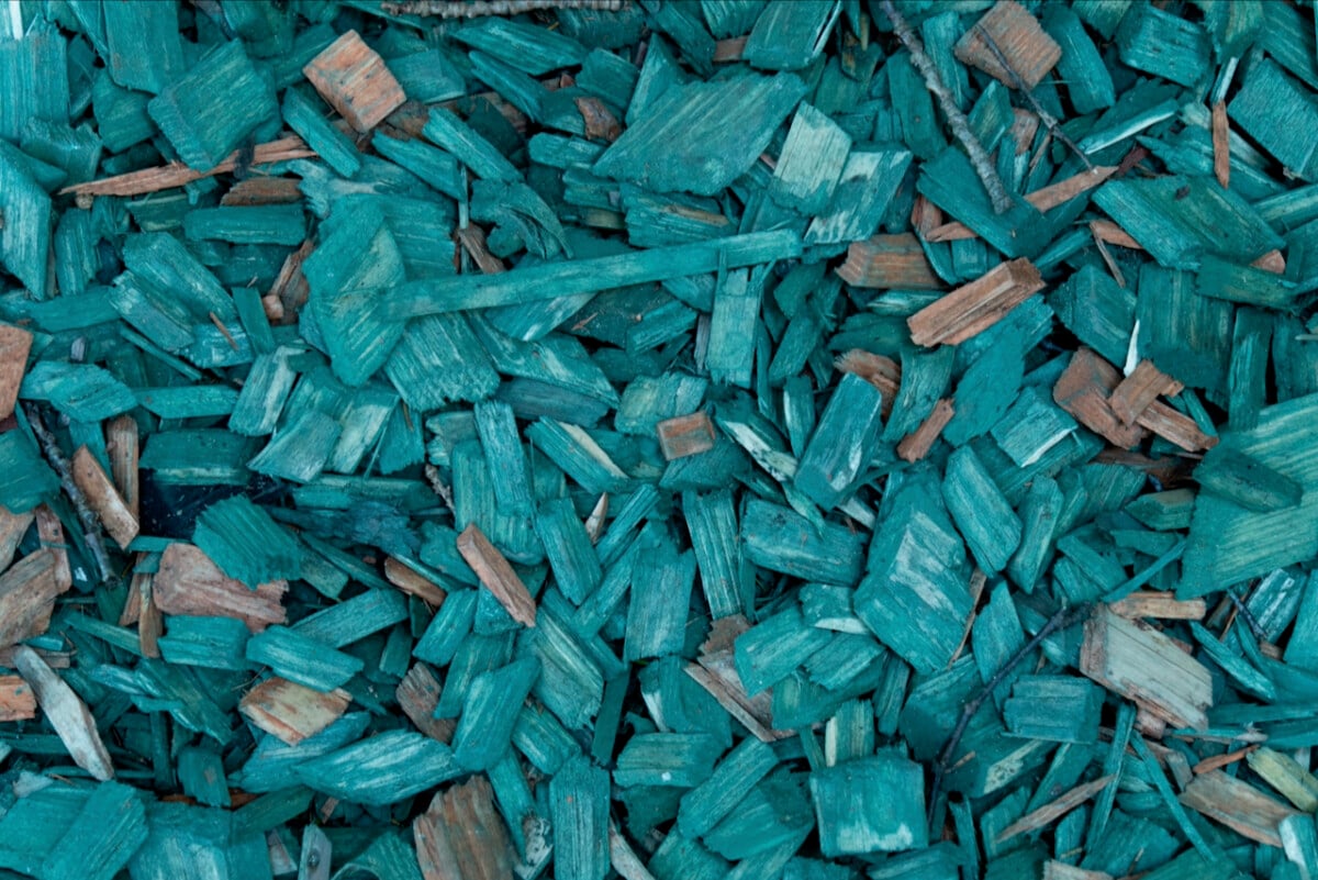 turquoise dyed wood chip mulch