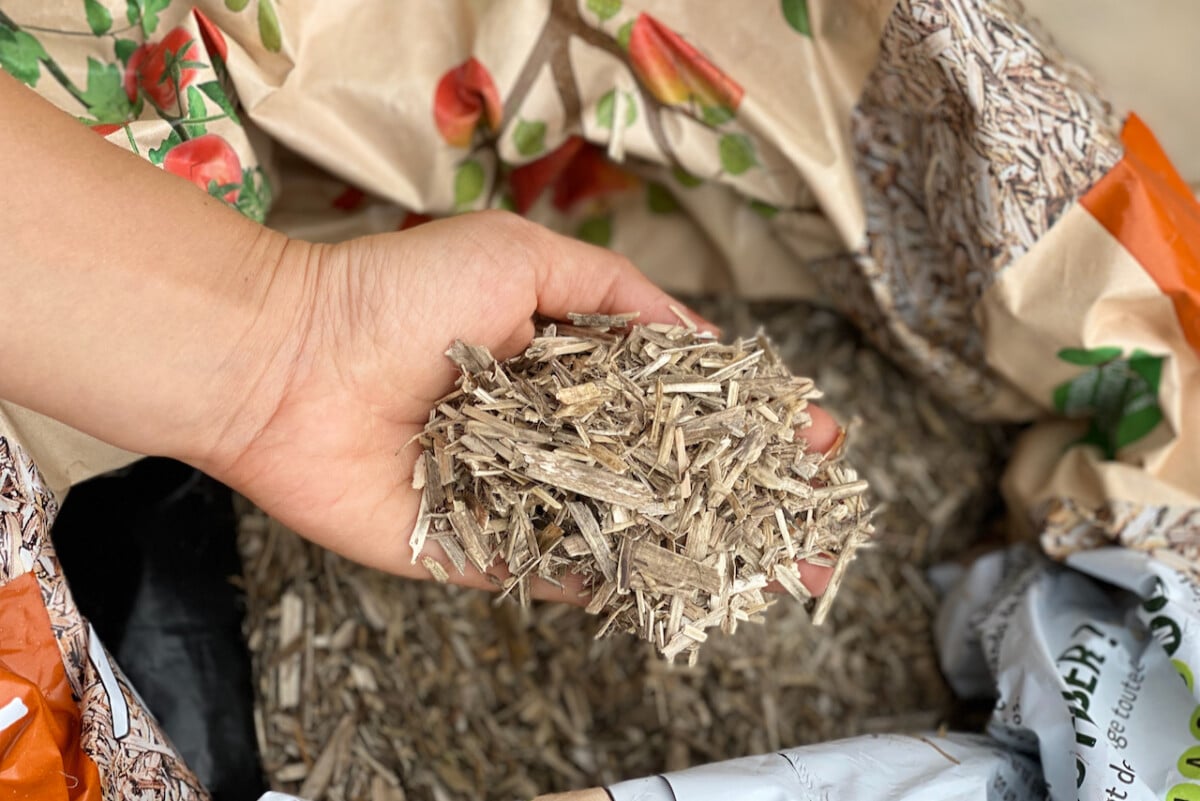 woman's hand holding flax mulch