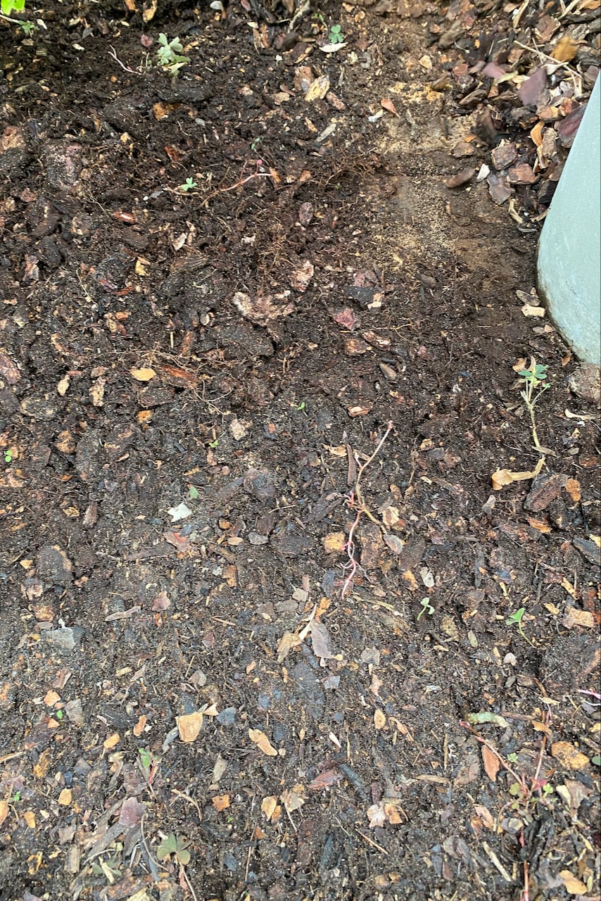 Soil with mulch mixed in
