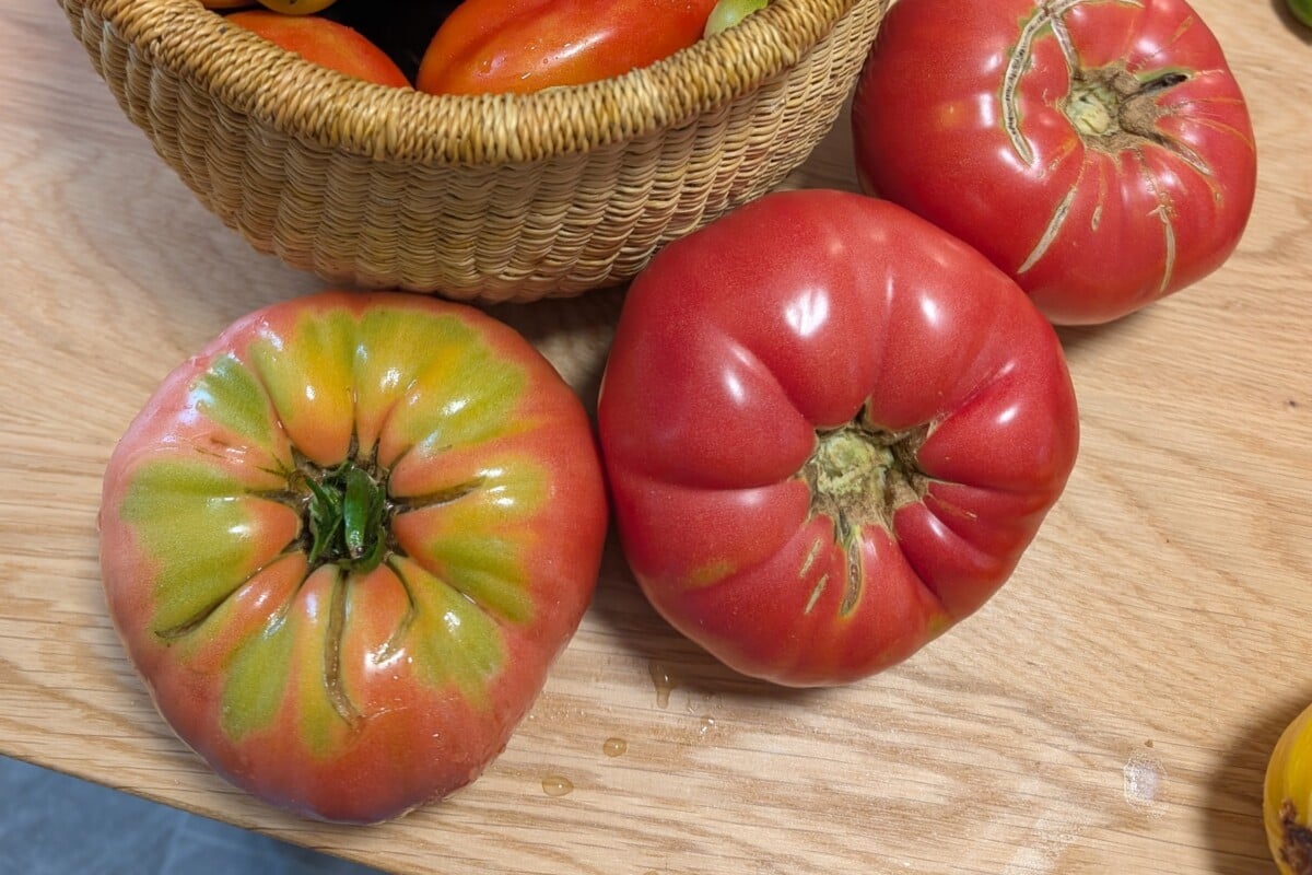 Tomatoes, one with green shoulders