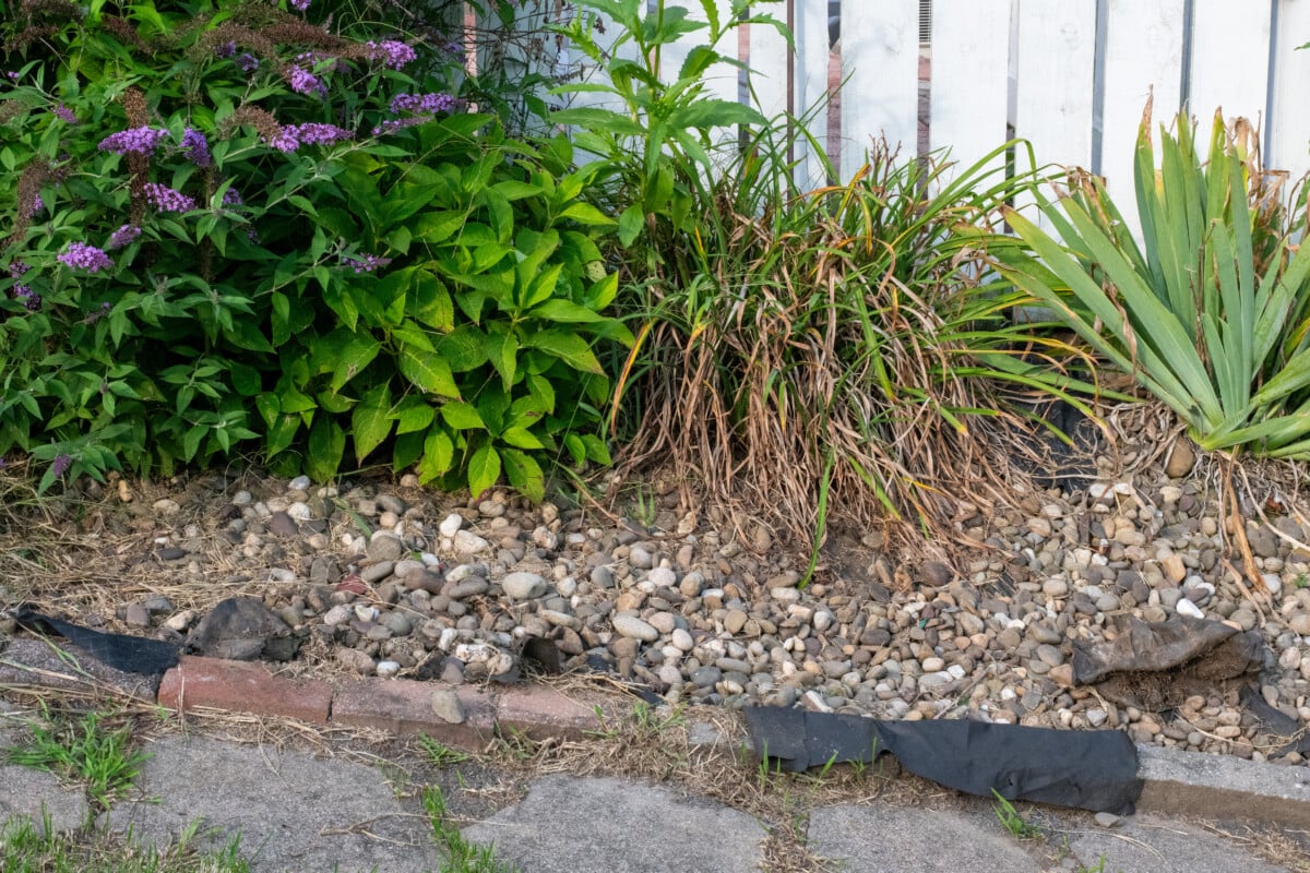 Ornamental flower bed with plants and landscape fabric showing