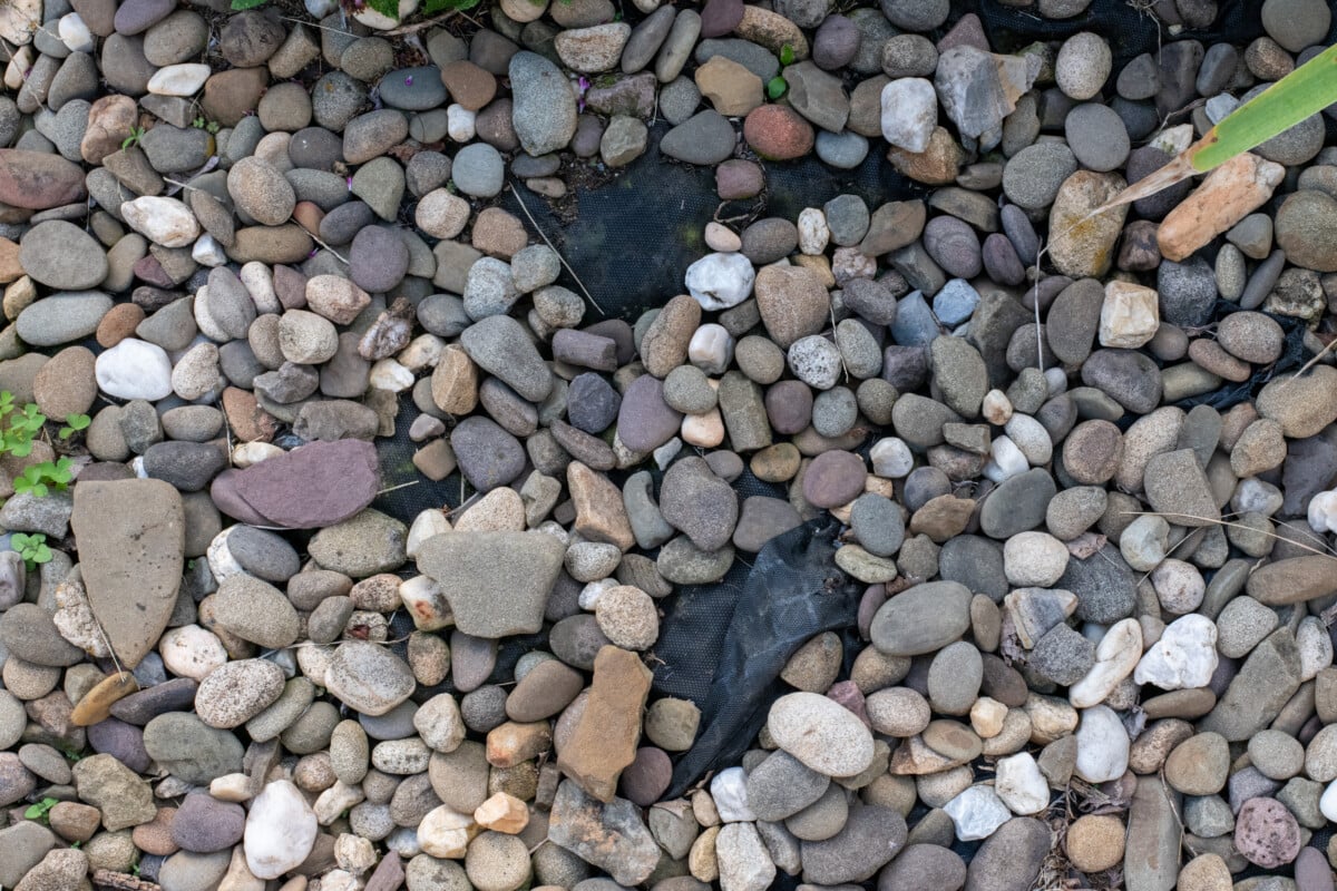 landscape fabric showing beneath decorative gravel
