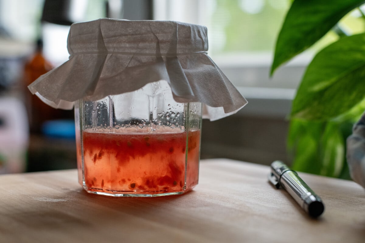 Jar of fermenting tomato seeds