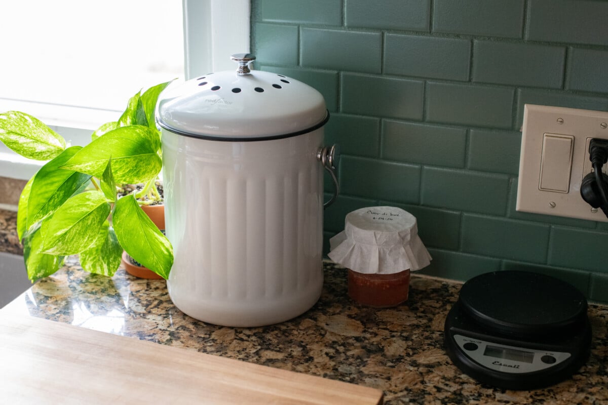 Fermenting tomato seeds in dark spot on counter