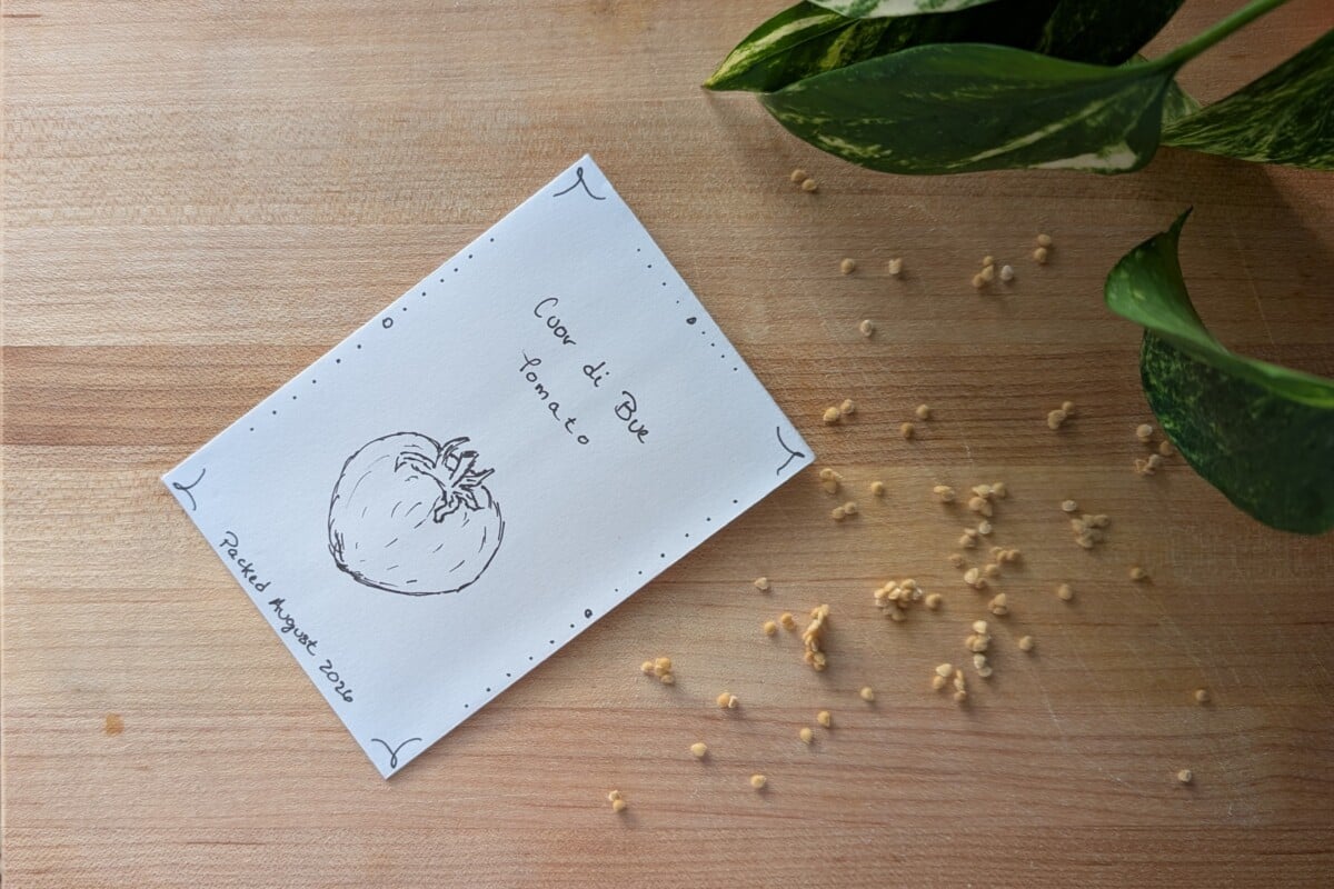 seed packet with tomato seeds next to it