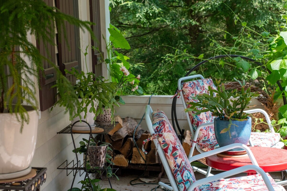 A porch with rocking chairs and several houseplants on stands.