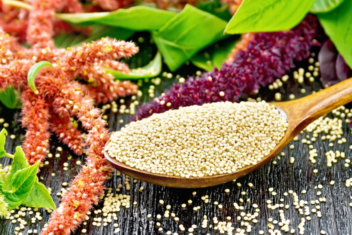 A wooden spoon overflowing with amaranth seeds and amaranth blossoms in the background