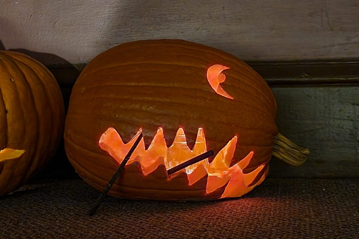 A jack-o'-lantern lying on its side with the face carved so that the stem of the pumpkin is the nose.