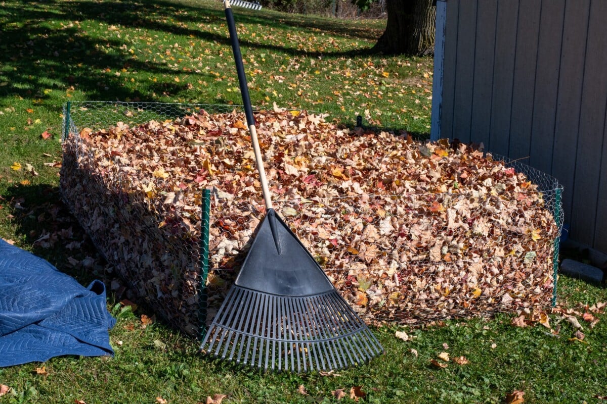 Leaf mold pen filled with leaves, rake leaning against it