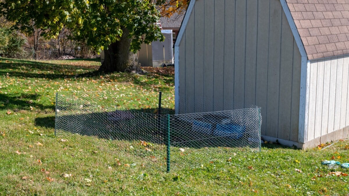 Empty leaf mold pen made from chicken wire and t-posts