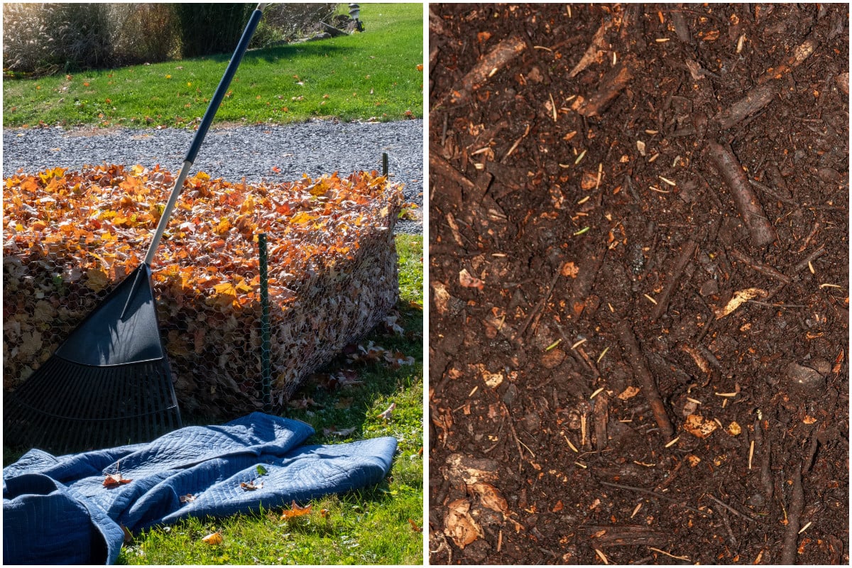 Leaf mold pen with a rake leaning against it, finished leaf mold