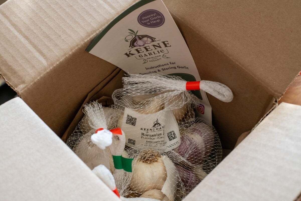 Box of seed garlic from Keene Garlic