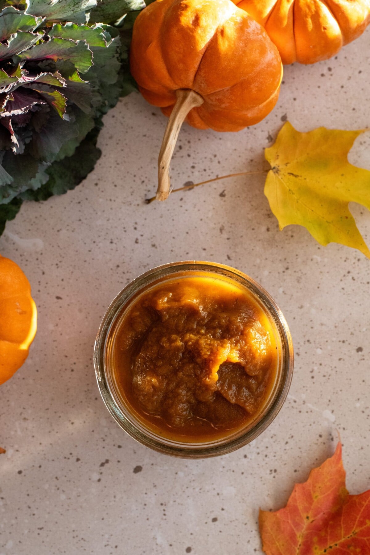 Jar of spiced pumpkin butter surrounded by leaves and mini pumpkins