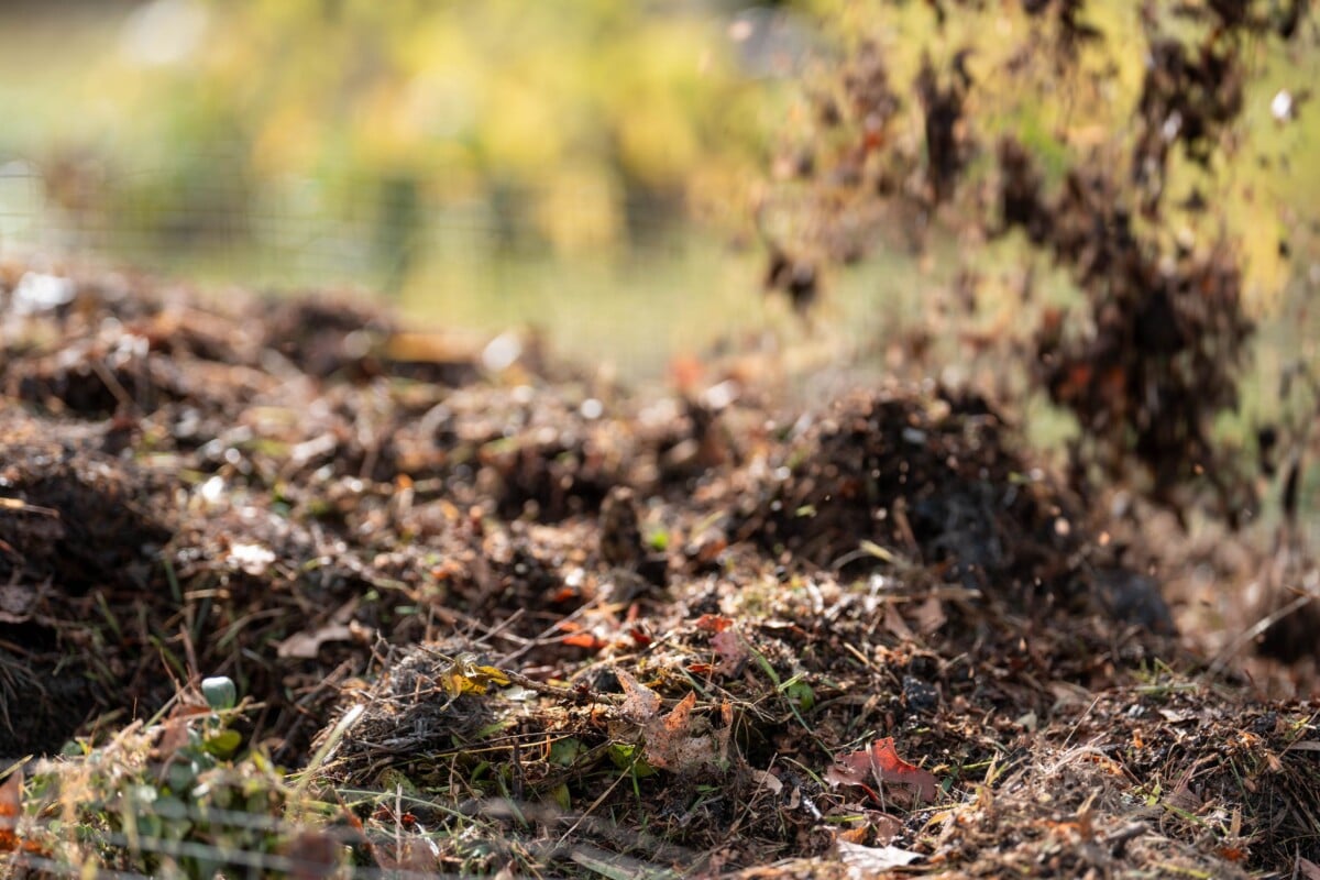 Compost and leaf mold